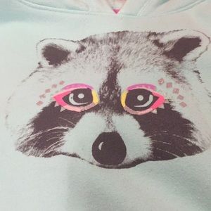 Raccoon sweatshirt